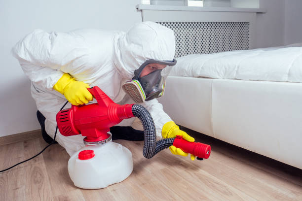 Best Local Pest Control Services  in Bear Rocks, PA