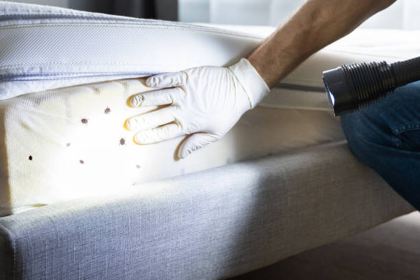 Best Exterminator Services  in Bear Rocks, PA