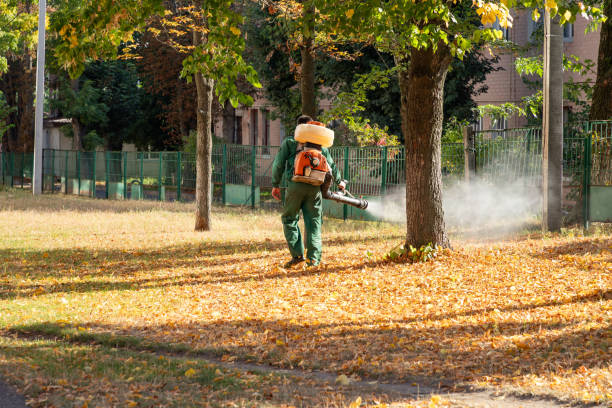 Wasp Removal Services in Bear Rocks, PA
