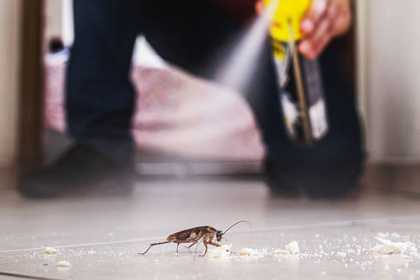 Best Pest Inspection Near Me  in Bear Rocks, PA