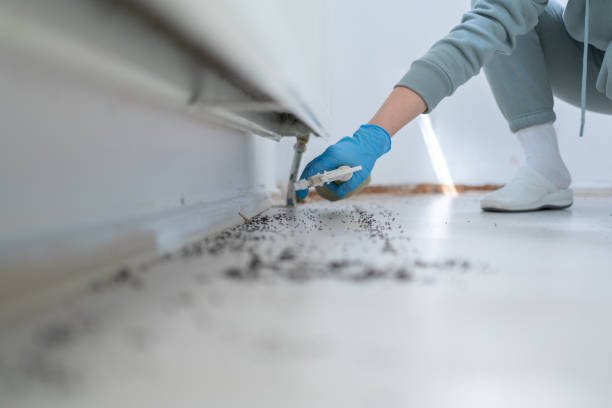 Best Pest Control Near Me  in Bear Rocks, PA